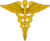 MedicalInsignia.png